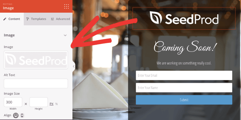 SeedProd 评测——这款网站建设工具真的好用吗?【2025 年】 change-logo-in-maintenance-mode-page20251118_ -19 SeedProd 评测——这款网站建设工具真的好用吗?【2025 年】 change-logo-in-maintenance-mode-page20251118_ -19