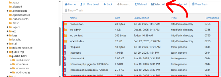 如何备份 WordPress 多站点(使用插件和不使用插件) cpanel-public-html-select-all20251120_ -4 如何备份 WordPress 多站点(使用插件和不使用插件) cpanel-public-html-select-all20251120_ -4