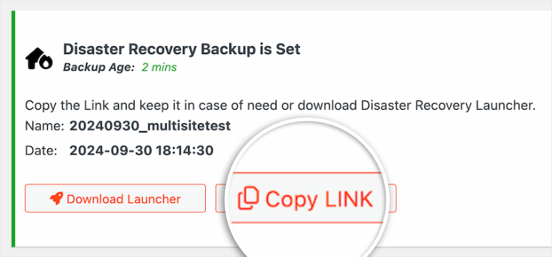 如何备份 WordPress 多站点(使用插件和不使用插件) duplicator-pro-multisite-recovery-link20251120_ -30 如何备份 WordPress 多站点(使用插件和不使用插件) duplicator-pro-multisite-recovery-link20251120_ -30