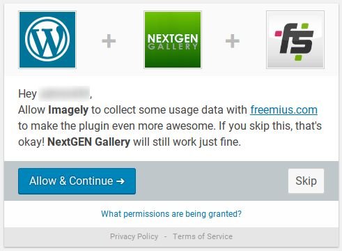 NextGEN Gallery 评测：它是最好的图库插件吗？ nextgen-gallery-review-skip20251120_ -2