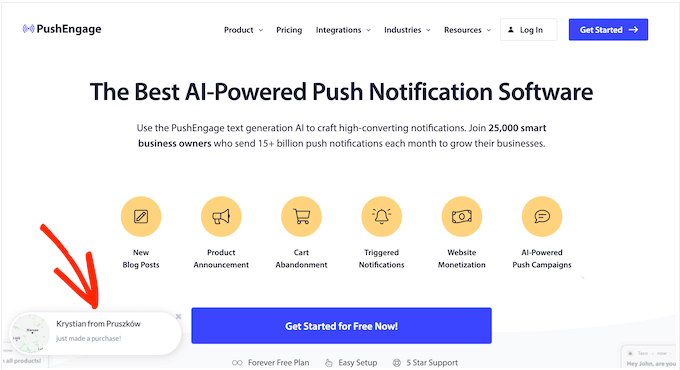 我的 WordPress 转化率优化终极指南 pushengage-social-proof20251109_ -19