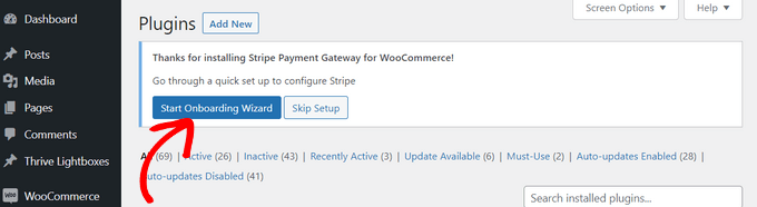 start-onboarding-wizard-stripe20251109_ -2 start-onboarding-wizard-stripe20251109_ -2