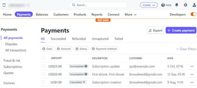 stripe-dashboard-test-payment20251109_ -11 stripe-dashboard-test-payment20251109_ -11