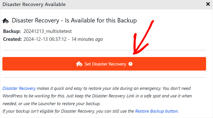 如何备份您的 WordPress 网站(终极指南) duplicator-set-disaster-min20251201_ -15 如何备份您的 WordPress 网站(终极指南) duplicator-set-disaster-min20251201_ -15